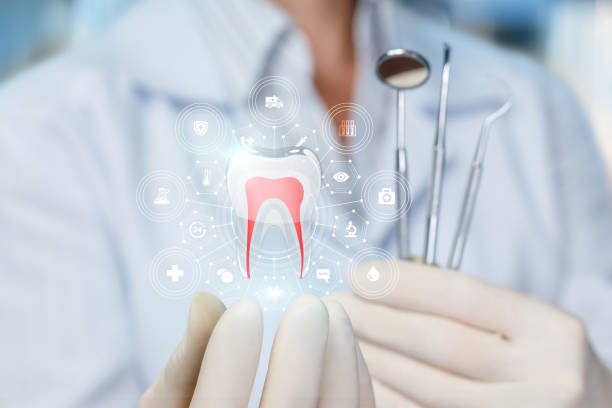 Professional  Holistic Dental Services in Timberlane, LA